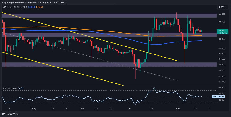 Анализ цены Ripple: быки XRP хотят достичь $0,64, но есть одна загвоздка