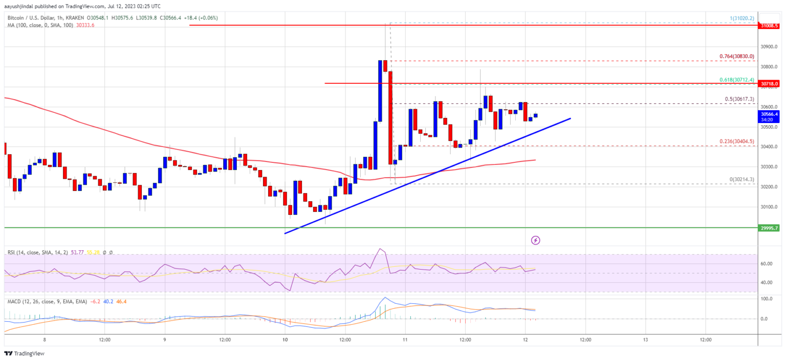 Bulls Bitcoin Terus Mendorong Mengapa BTC Bisa Segera Mencoba Melampaui $31K