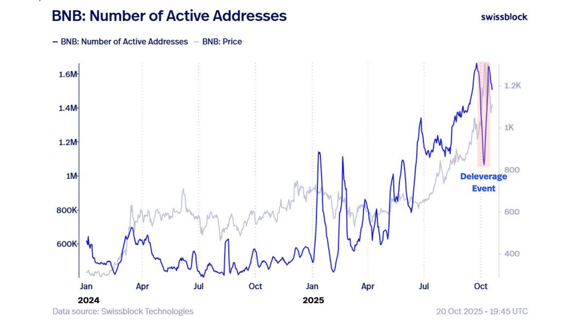 Direcciones Activas de BNB