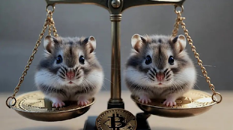 Инвесторам посоветовали не идеализировать биткоин-инвестиции Инвесторам посоветовали не идеализировать биткоин-инвестиции