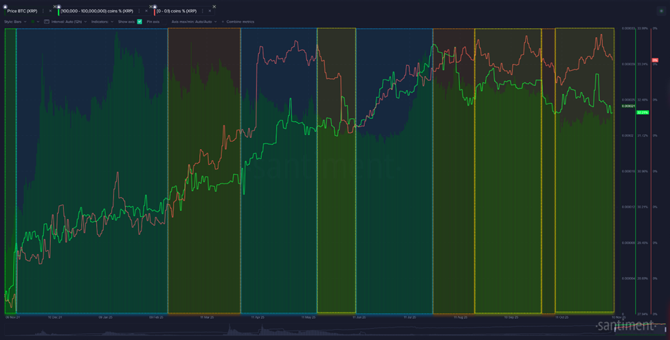 XRP Whales vs Micro Wallets