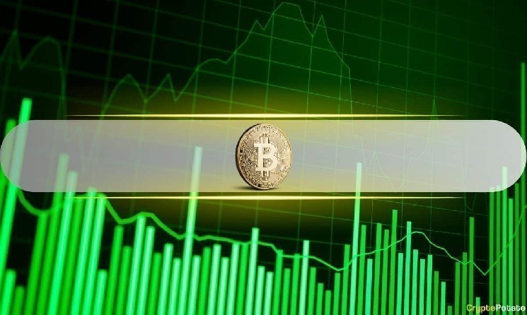 Bitcoin Bounces Back This Week But Glassnode Sees Trouble Ahead