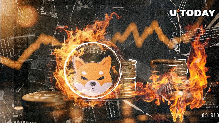 Shiba Inu Burn Couplaps 93%, является ли сброс крупного Shib?