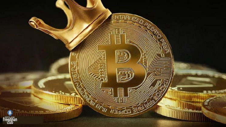 Большинство новых монет проигрывают в доходности Bitcoin в первый год своей жизни