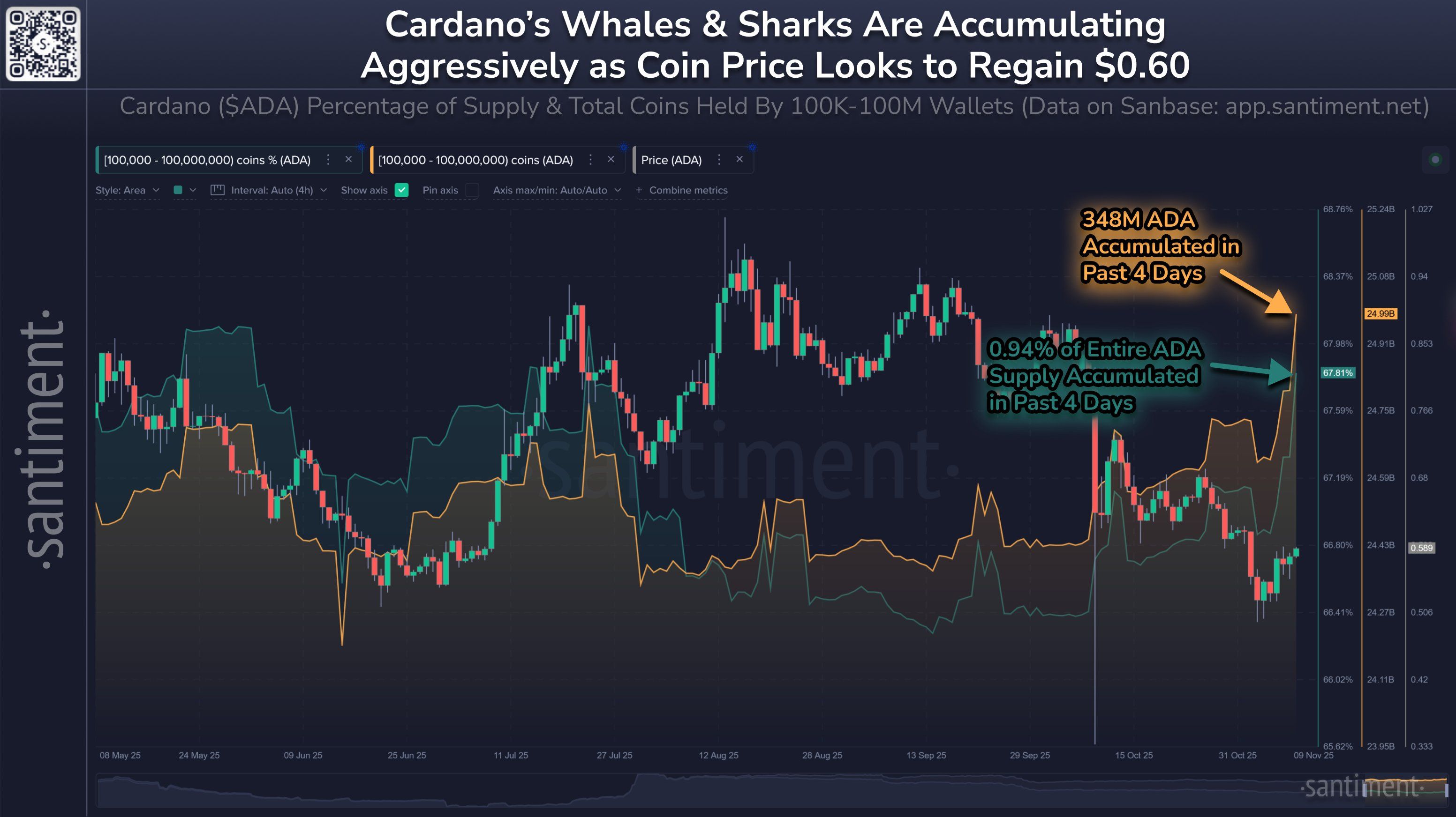 Cardano's Whales Accumulation. Source: Santiment