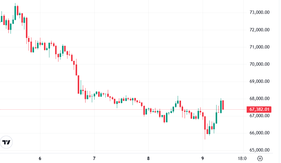 сколько стоит биткоин