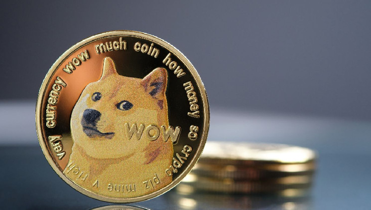 Количество транзакций Dogecoin выросло в 60 раз, но почему цены упали?