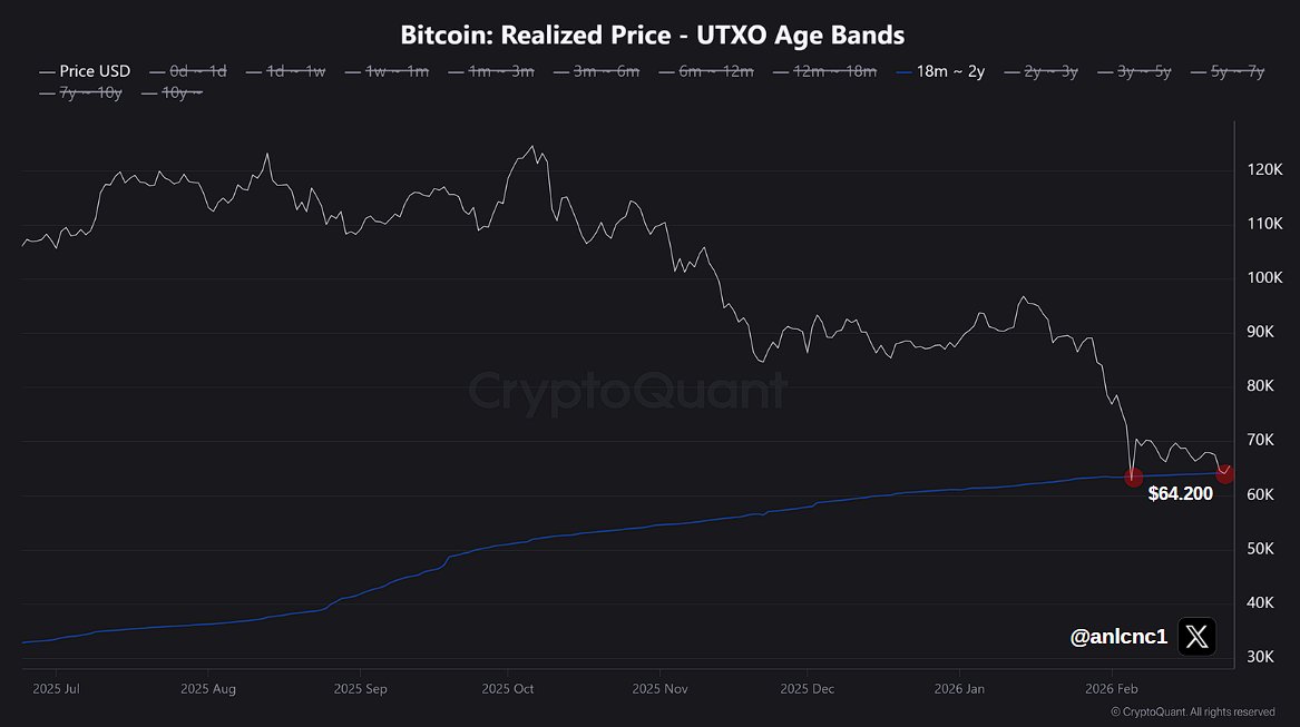 Criptomonedas, Precio de Bitcoin, Análisis de Bitcoin, Adopción, Mercados, Exchange de criptomonedas, Análisis de Precios, Análisis de Mercado