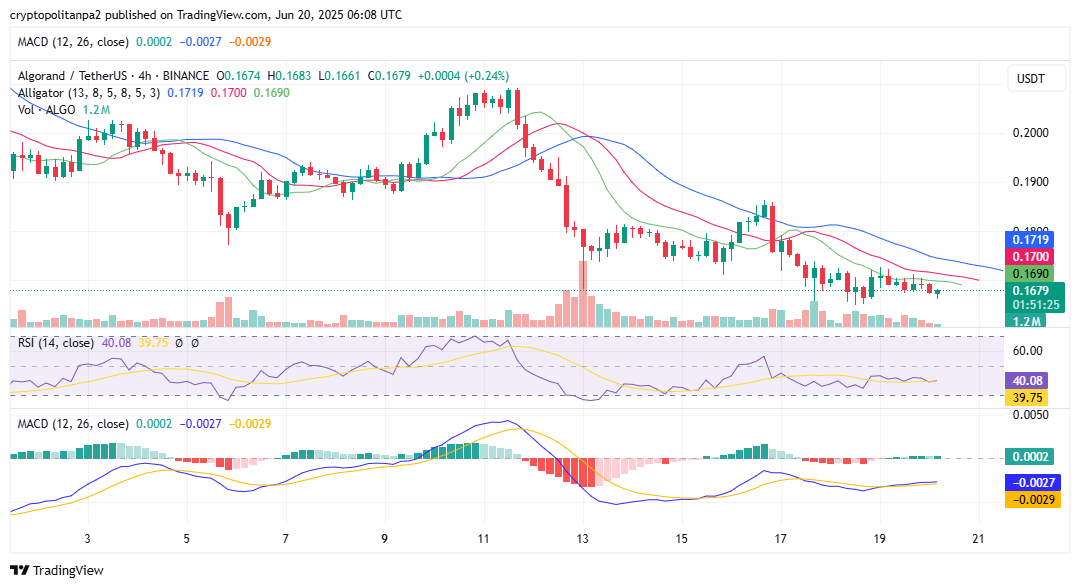ALGO/USD 4-Stunden-Chart. Bildquelle: TradingView