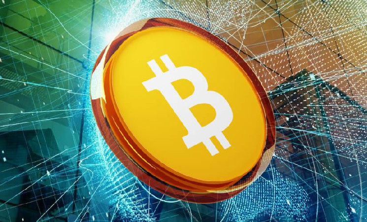 Киты и акулы накапливают BTC