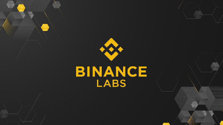 Инвестиционное подразделение Binance стало независимым от торговой платформы