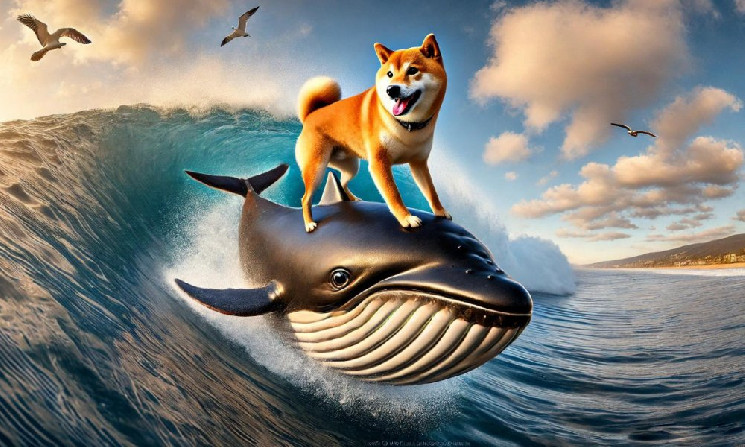 Кит Shiba Inu владеет 10% предложения SHIB на сумму $2,5 млрд