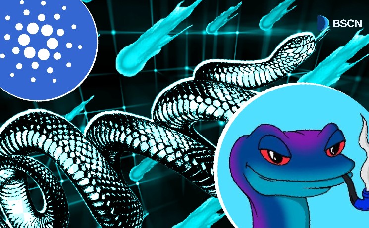 Snek Decoded: Лучший Memecoin Cardano?