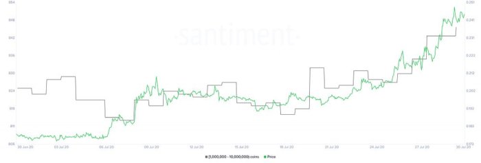 Киты с бешеной скоростью покупают XRP