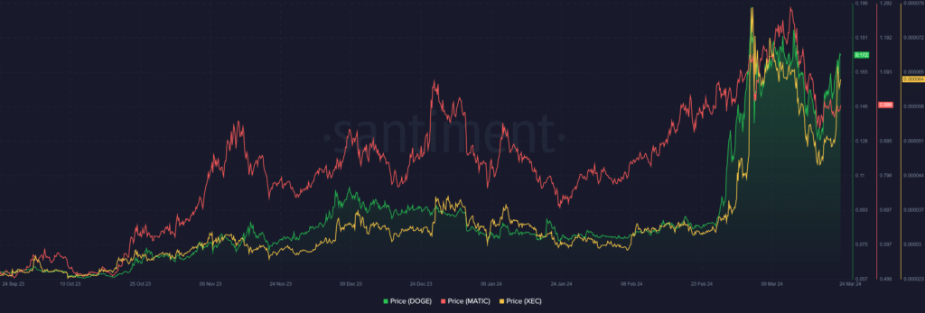 Top cryptocurrencies to watch this week: DOGE, MATIC, XEC - 1