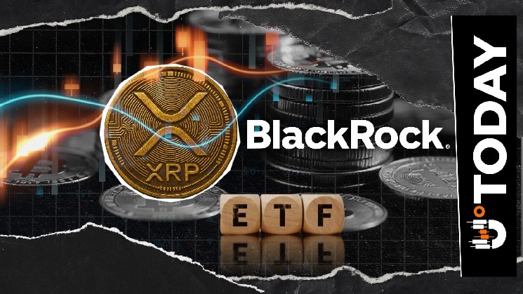 «BlackRock пропустила это», Пол Бэррон о положительном дебюте XRP ETF