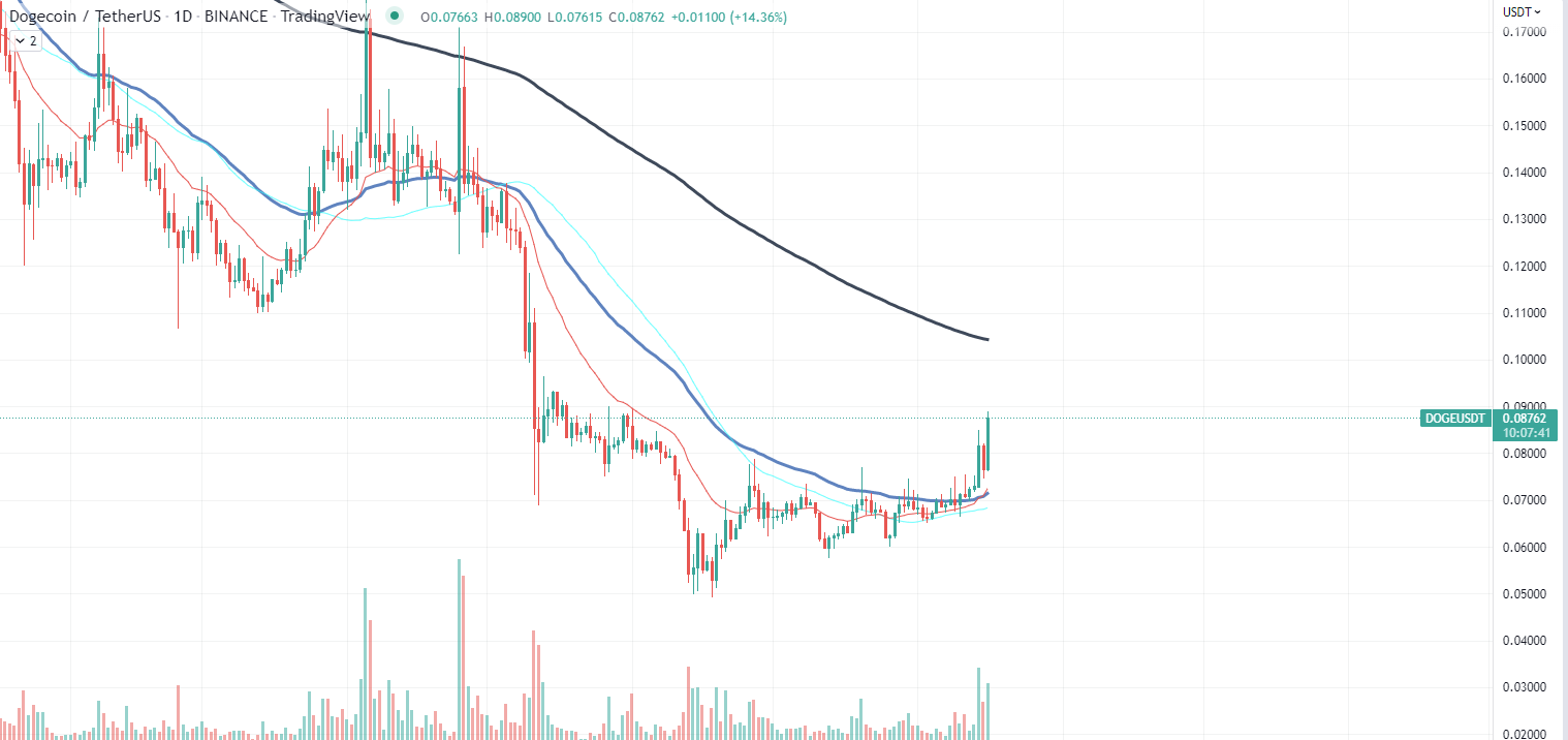 DOGE Chart