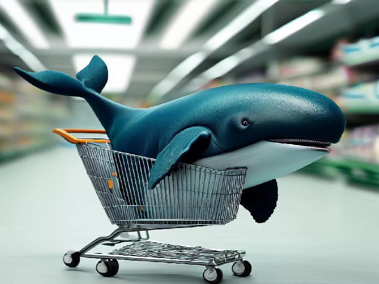 Три кита активировались за последние часы: они покупают и продают альткойны