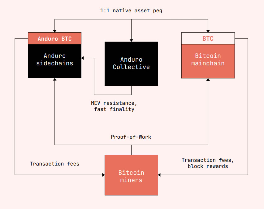 Anduro blockchain layer-2 bitcoin