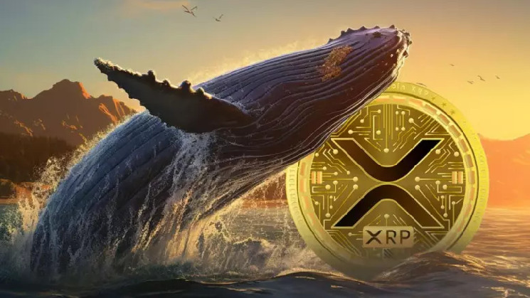 Новости XRP: киты Ripple накопили 1 млрд монет, демонстрируя оптимизм.