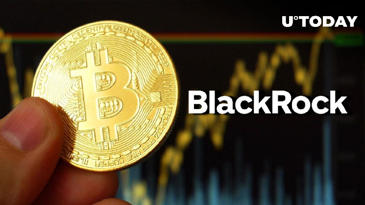 Биткойн (BTC) может достичь $56 000 при срабатывании BlackRock ETF