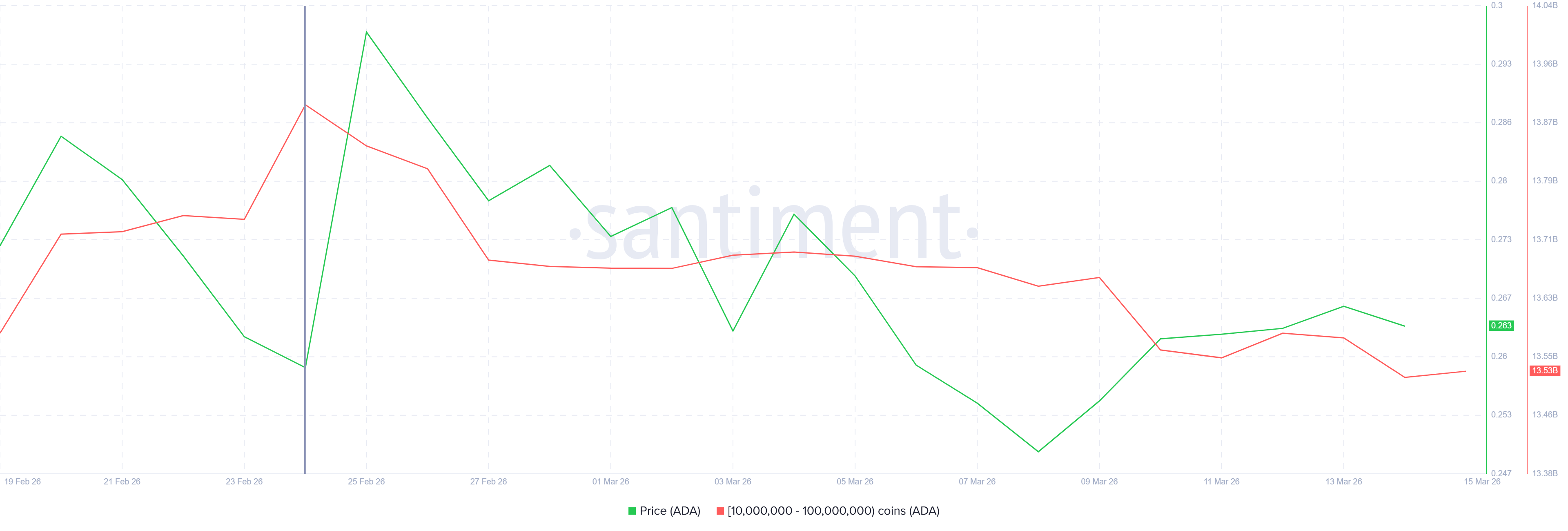 Cardano Whale Holding