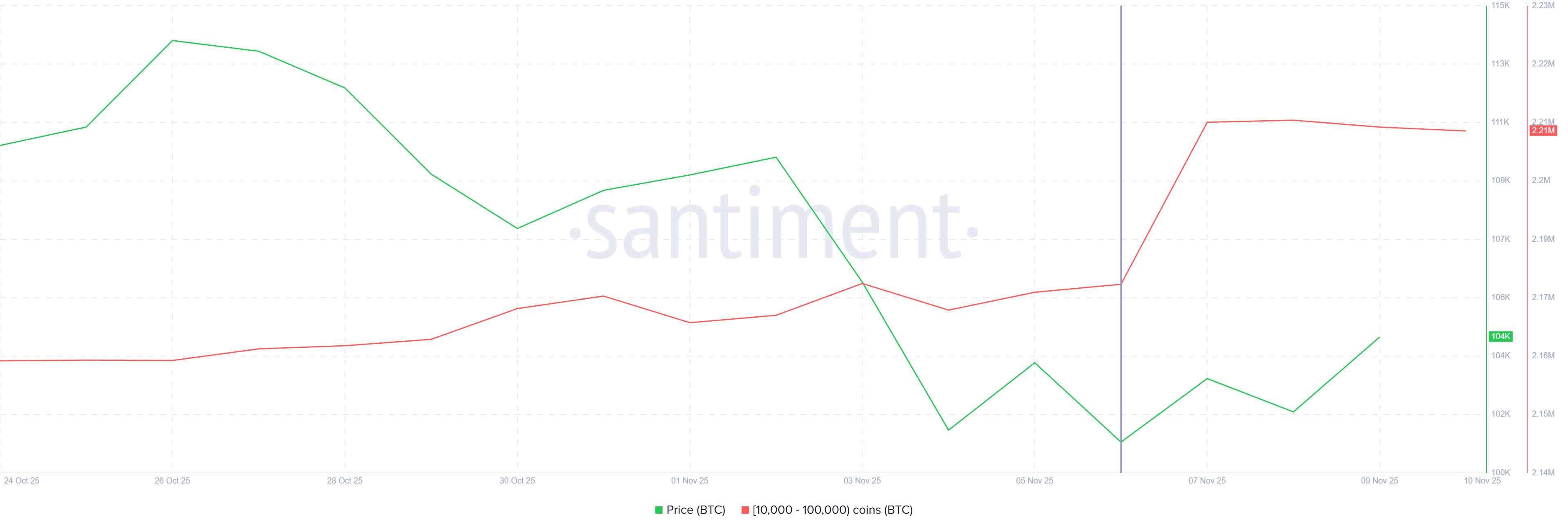 Tenencia de ballenas Bitcoin