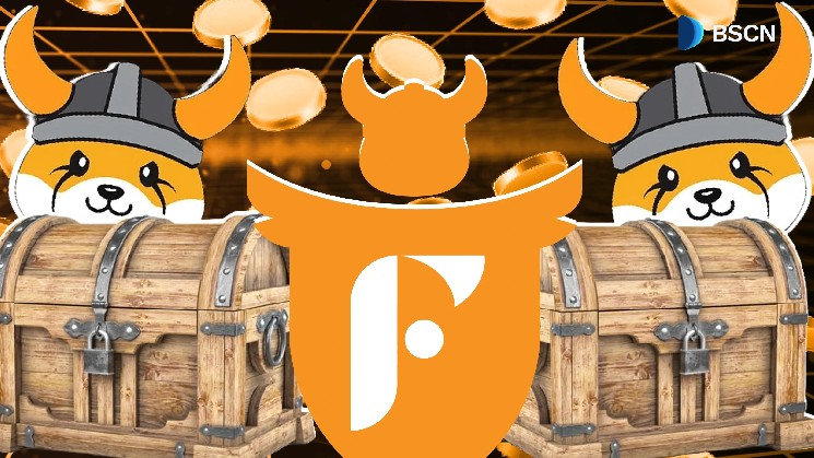 Как работает Flokifi Locker?