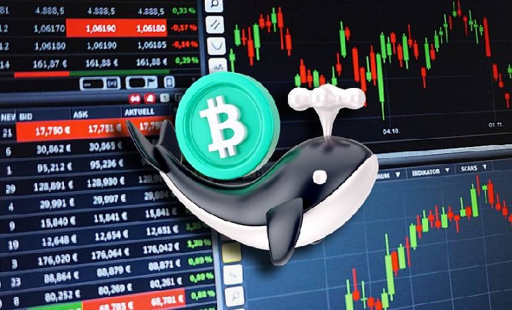 Активность китов на Binance указывает на сохраняющийся баланс при росте котировок BTC Активность китов на Binance указывает на сохраняющийся баланс при росте котировок BTC