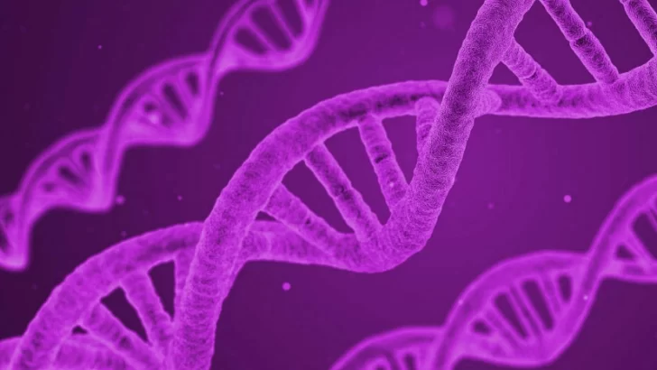 La historia del precio de bitcoin y su evolución