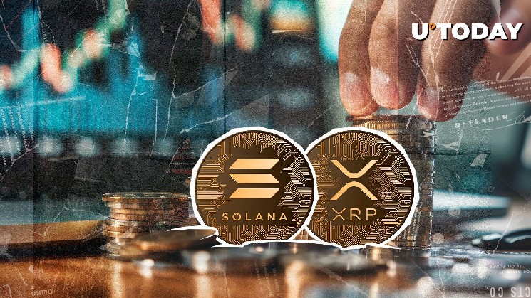 Xrp или sol? Легендарный трейдер хочет выбрать один