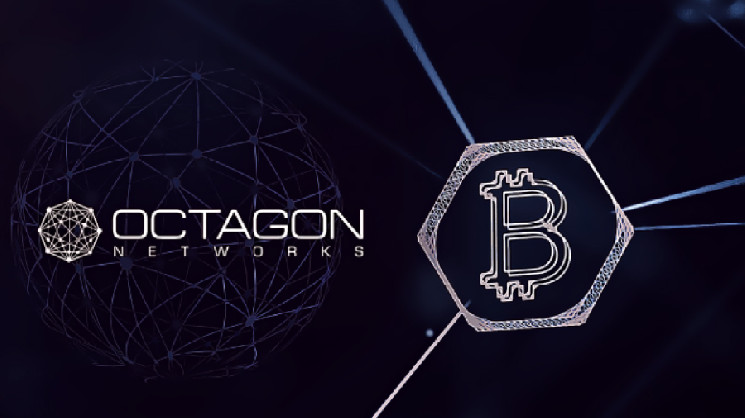 Octagon Networks конвертировала все активы в биткоины