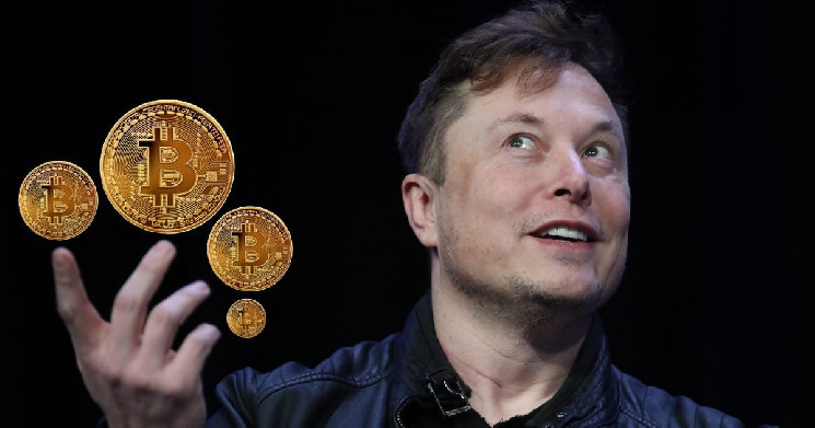 Tesla планирует снова приобрести биткоины, утверждает Илон Маск
