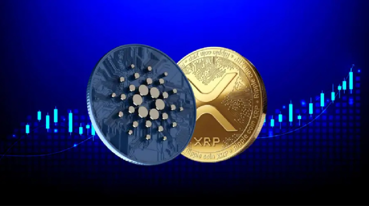 Эксперт-аналитик определил целевые уровни для XRP и Cardano