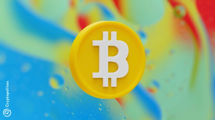Менеджеры высших активов сокращают точечные биткойны ETF Holdings на 40% после падения цены в первом квартале