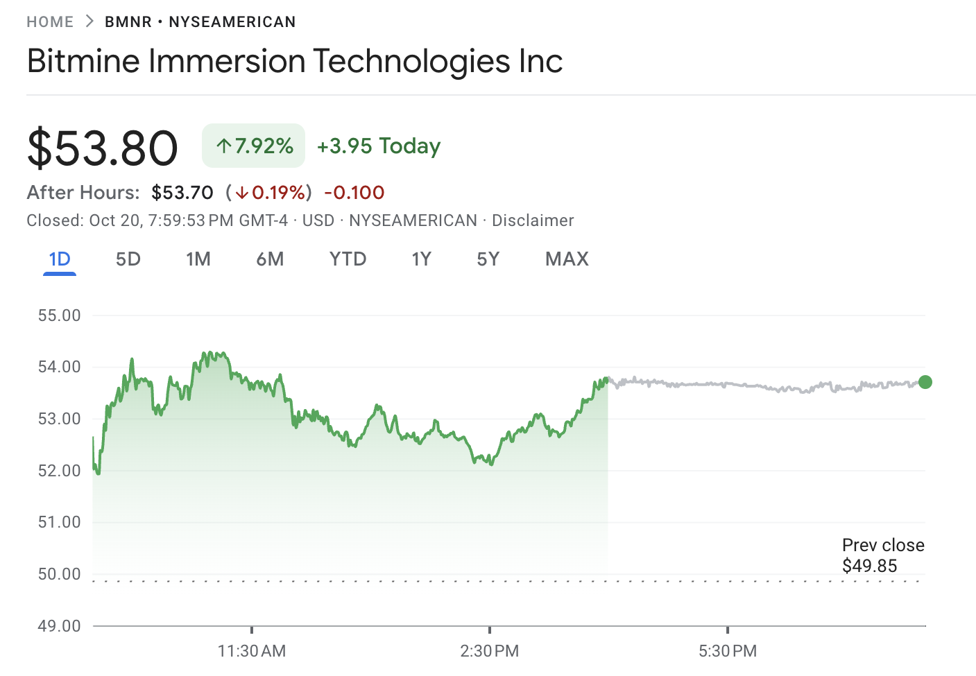 BitMine Stock