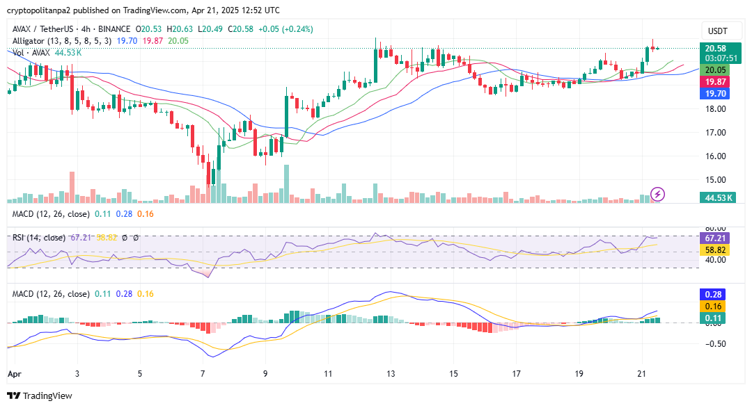 الرسم البياني للأربع ساعات AVAX/USD