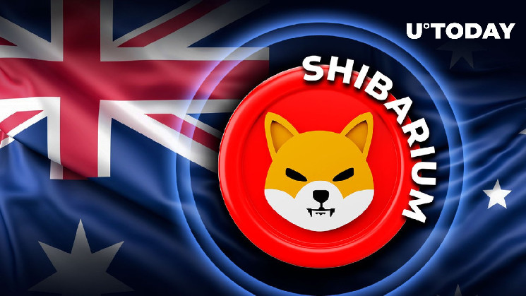 Shibarium, интегрированный австралийской биржей: подробности