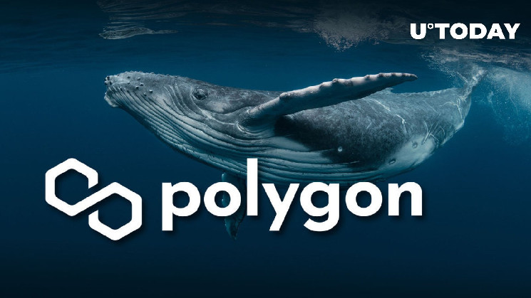 Активность китов Polygon (MATIC) взлетела на 743% на фоне разговоров об ETF Ethereum