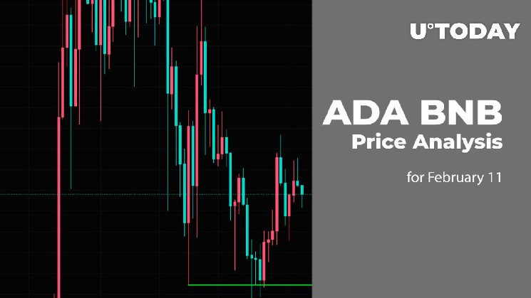Прогноз цен ADA и BNB на 11 февраля