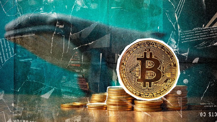 Более 130 миллионов долларов в BTC STUN TOP Crypto Exchange Coinbase
