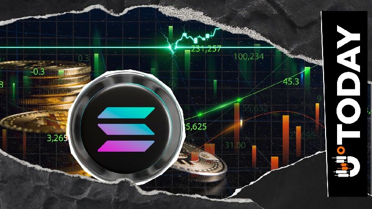 Solana at $84: Two Liquidity Clusters Might Decide Next Move