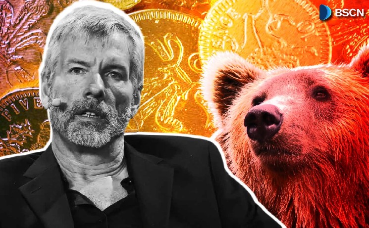 Here's What Michael Saylor Thinks of Altcoins