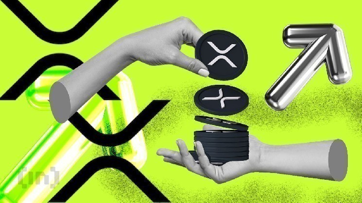 Соотношение xrp -держателя падает в H1 2025, но все еще опережает Solana