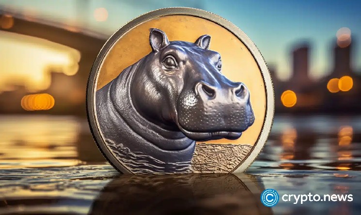 Moodeng Rallies более 130%, так как открытый процент взлетает и обменивается баланс.