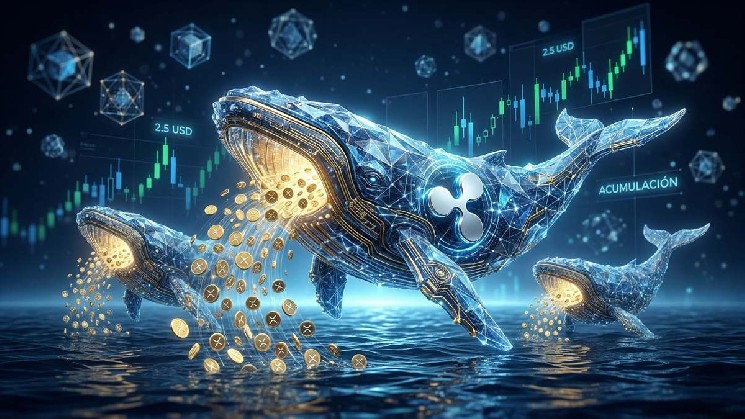 Ripple Whales Load 200M XRP—Is a $2.5 Surge Next?