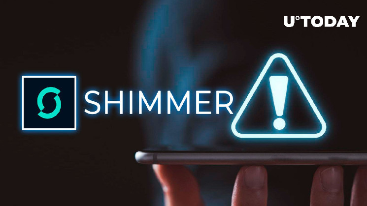 Аирдроп на 1 миллион долларов: Shimmer от IOTA выносит важное предупреждение