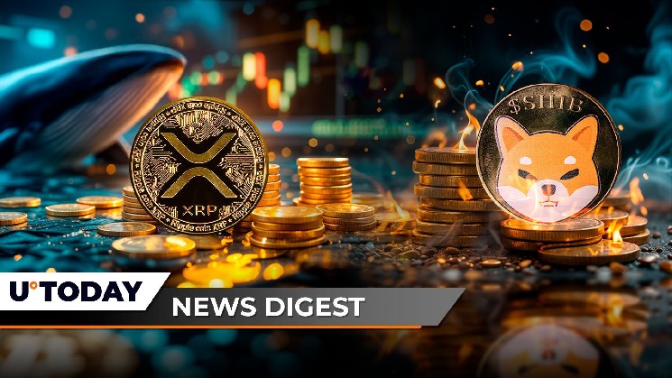 RALLY RALLY не закончилось, кредиты JPMorgan Eyes, поддерживаемые биткойнами, цена Shib может взлетать на 800% за одну неделю