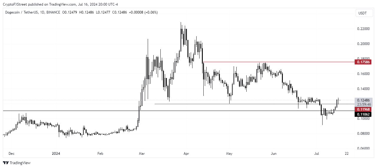 DOGE/USDT 1-day chart