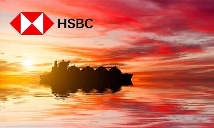 HSBC Research упоминает о появлении актива Safe Haven сразу после золота